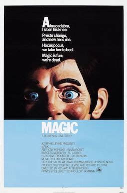 The Magic 1978 Group: An Inspiring Story of Persistence and Success